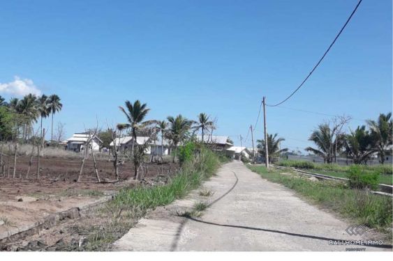 Image 10 from Land for sale freehold in Lombok