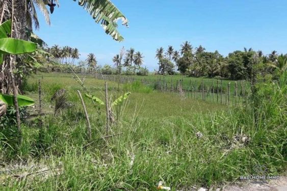 Image 4 from Land for sale freehold in Lombok