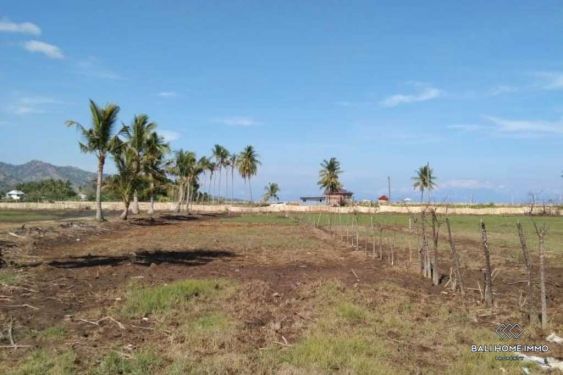 Image 9 from Land for sale freehold in Lombok