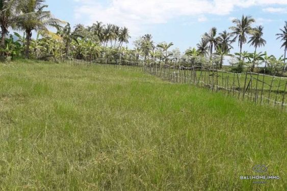 Image 7 from Land for sale freehold in Lombok