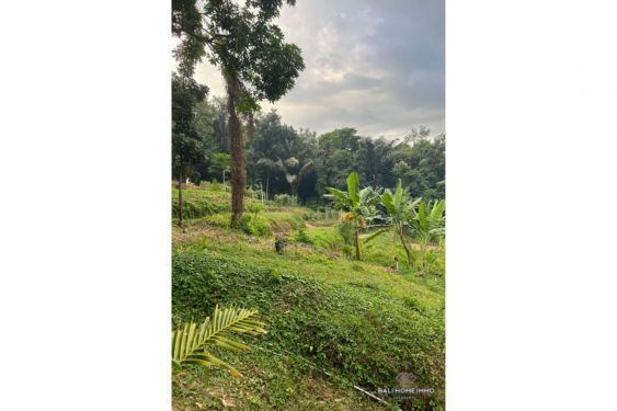 Image 3 from LAND FOR SALE FREEHOLD IN LOMBOK