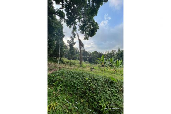 Image 2 from LAND FOR SALE FREEHOLD IN LOMBOK
