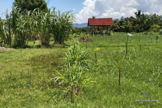 Image 5 from Tanah Dijual Hak Milik di Lombok Utara