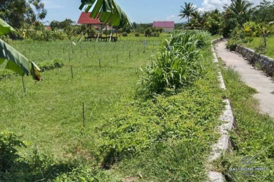 Image 11 from Tanah Dijual Hak Milik di Lombok Utara