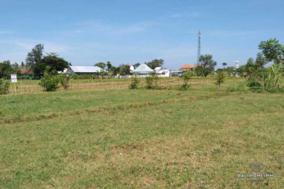 Image 7 from Land For Sale Freehold in North Lombok
