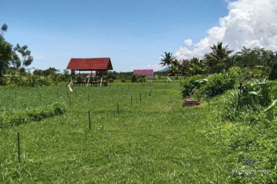 Image 5 from Land For Sale Freehold in North Lombok