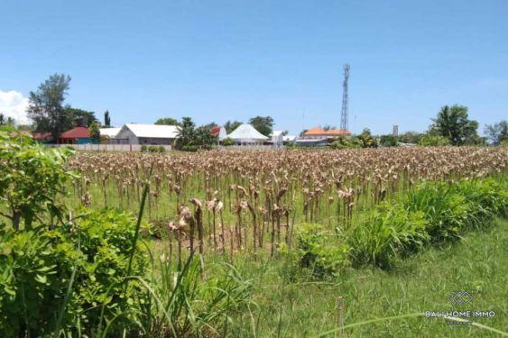 Image 9 from Land For Sale Freehold in North Lombok