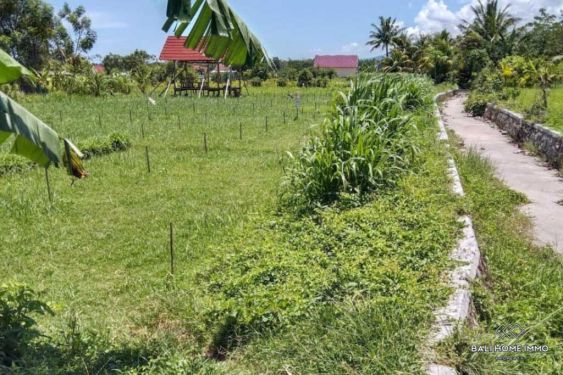 Image 11 from Land For Sale Freehold in North Lombok