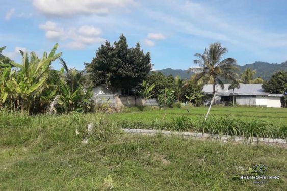 Image 4 from Land For Sale Freehold in North Lombok