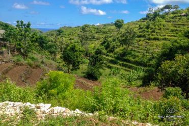 Image 3 from Land For Sale Freehold in Nusa Penida Island