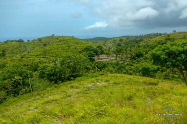 Image 3 from Land For Sale Freehold in Nusa Penida Island