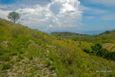 Image 2 from Land For Sale Freehold in Nusa Penida Island
