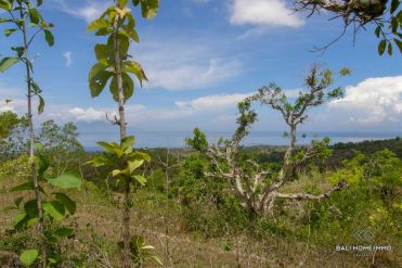 Image 2 from Land For Sale Freehold in Nusa Penida Island