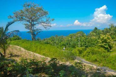 Image 3 from Land For Sale Freehold in Nusa Penida Island