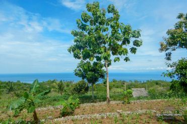 Image 3 from Tanah di Jual di Pulau Nusa Penida