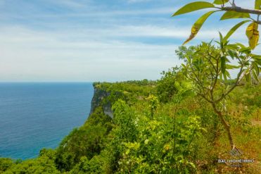 Image 3 from Land For Sale Freehold in Nusa Penida Island