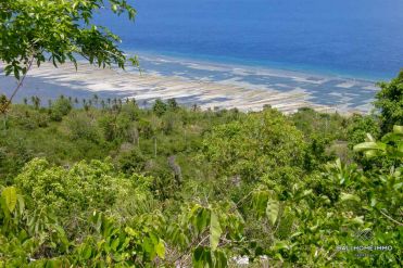 Image 3 from Land For Sale Freehold in Nusa Penida Island