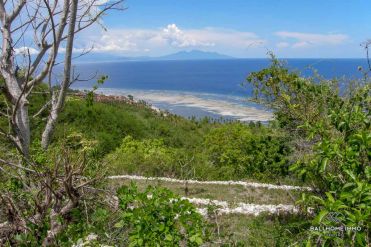 Image 2 from Land For Sale Freehold in Nusa Penida Island