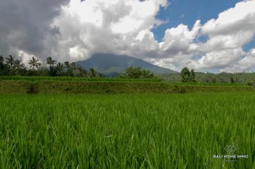 Image 9 from Tanah di Jual di Pupuan - Tabanan