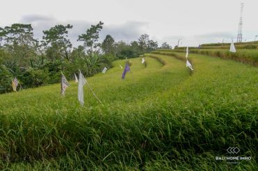 Image 2 from Tanah di Jual di Pupuan - Tabanan
