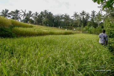 Image 2 from Tanah di Jual di Pupuan - Tabanan