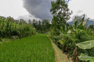 Image 2 from Land For Sale Freehold in Pupuan - Tabanan