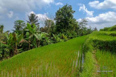 Image 3 from Land For Sale Freehold in Pupuan - Tabanan