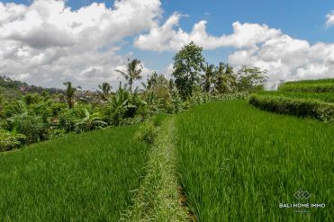 Image 2 from Land For Sale Freehold in Pupuan - Tabanan