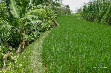 Image 2 from Land For Sale Freehold in Pupuan - Tabanan