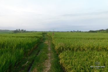 Image 2 from Tanah Dijual Hak Milik di Selemadeg, Tabanan
