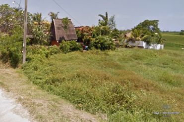 Image 2 from Land for sale freehold in Selemadeg, Tabanan