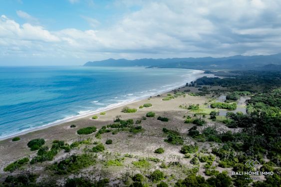 Image 7 from Tanah beachfront dijual hak milik di Sumba Timur