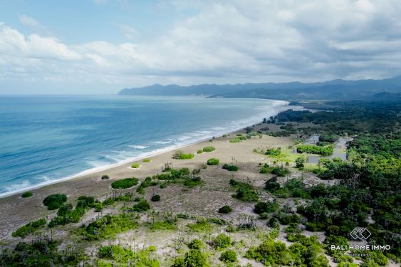 Image 6 from Tanah beachfront dijual hak milik di Sumba Timur