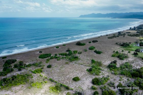 Image 10 from Tanah beachfront dijual hak milik di Sumba Timur