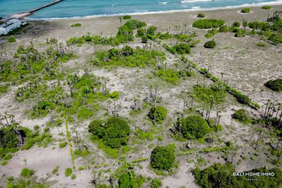 Image 2 from Tanah beachfront dijual hak milik di Sumba Timur