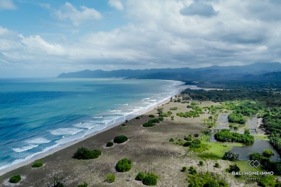 Image 8 from Tanah beachfront dijual hak milik di Sumba Timur