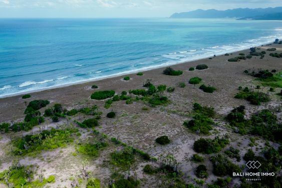 Image 9 from Tanah beachfront dijual hak milik di Sumba Timur