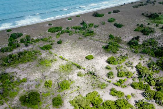 Image 12 from Tanah beachfront dijual hak milik di Sumba Timur