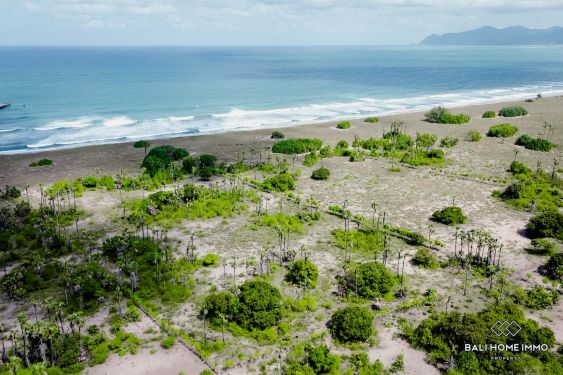 Image 4 from Tanah beachfront dijual hak milik di Sumba Timur