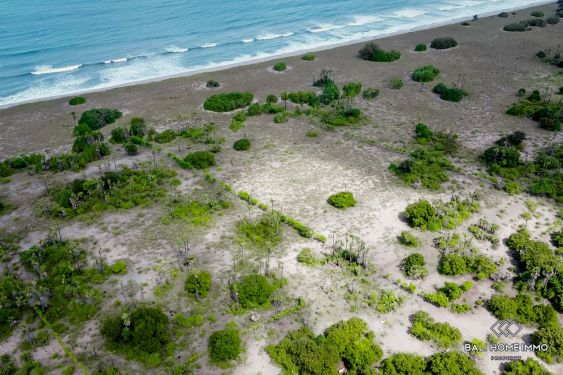 Image 13 from Tanah beachfront dijual hak milik di Sumba Timur
