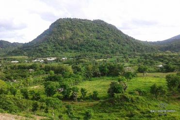Image 1 from Land for sale freehold in Sumbawa