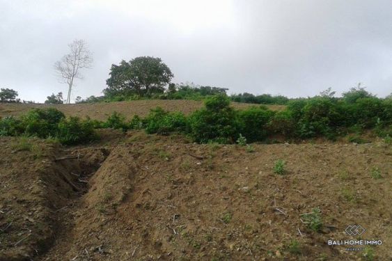 Image 2 from Tanah Dijual Hak Milik di Sumbawa