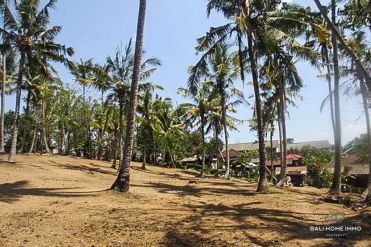 Image 1 from Land for sale freehold in Tabanan