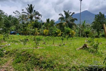 Image 2 from Land For Sale Freehold in Tabanan