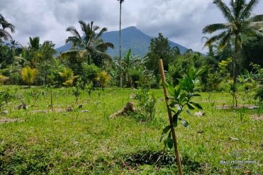 Image 2 from Land For Sale Freehold in Tabanan