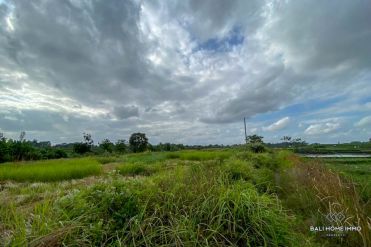 Image 1 from Land for sale freehold in Tanah Lot Area