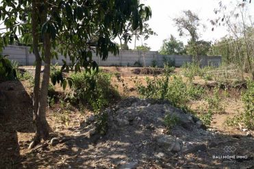 Image 9 from Tanah Tepi Sungai Dijual di Nyanyi Tabanan Bali