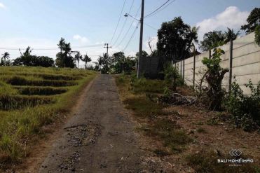 Image 8 from Tanah Tepi Sungai Dijual di Nyanyi Tabanan Bali