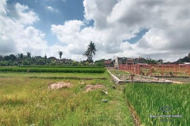 Image 3 from Land For Sale Freehold In Tabanan Nyanyi