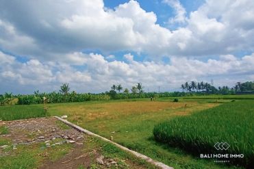 Image 2 from Land For Sale Freehold In Tabanan Nyanyi